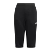 ADIDAS TIRO 21 3/4 TRAINING PANT Y, Knæbukser, Junior, Sort 2 ADIDAS TIRO 21 3/4 TRAINING PANT Y, Knæbukser, Junior, Sort -Rabatbutik For Sportsudstyr 786bfefbb19f4fcea96fac037a652fe2