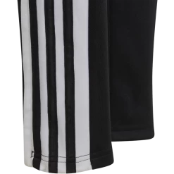 ADIDAS SQUADRA 21 TRAINING PANT JR, Træningsbukser, Junior, Sort 11 ADIDAS SQUADRA 21 TRAINING PANT JR, Træningsbukser, Junior, Sort -Rabatbutik For Sportsudstyr 7ac1f933e2164e3eb4ed8225c70541b8