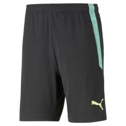 Puma TeamLIGA Training Shorts 2, Træningsshorts, Herre, Sort