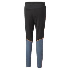 Puma IndividualBLAZE Training Pants, Træningsbukser, Dame, Sort 5 Puma IndividualBLAZE Training Pants, Træningsbukser, Dame, Sort -Rabatbutik For Sportsudstyr d796290c60834457a167bd1a28aa62aa