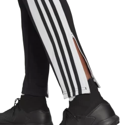 ADIDAS Squadra 21 Training Pant, Træningsbukser, Herre, Sort -Rabatbutik For Sportsudstyr dcda380e7534471d863f779fc3b5f470