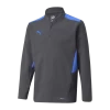 Puma Individualcup Training 1/4 Zip Top Jr, Grå 1 Puma Individualcup Training 1/4 Zip Top Jr, Grå -Rabatbutik For Sportsudstyr f32d48c996fa45819c29333bce5459f0